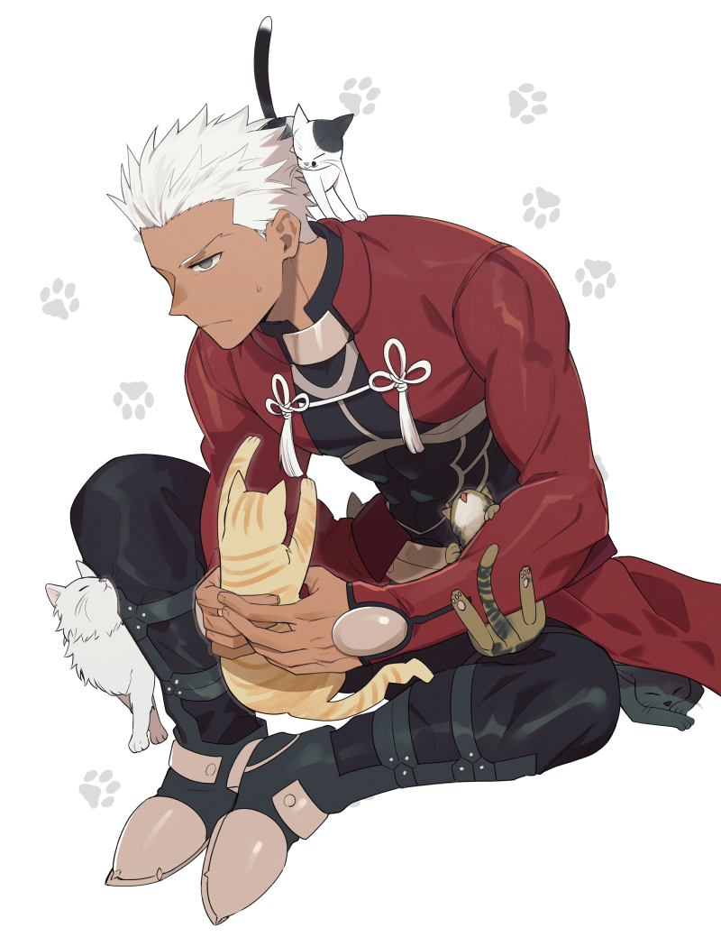 archer (fate and 1 more) drawn by ichimatsuinfo