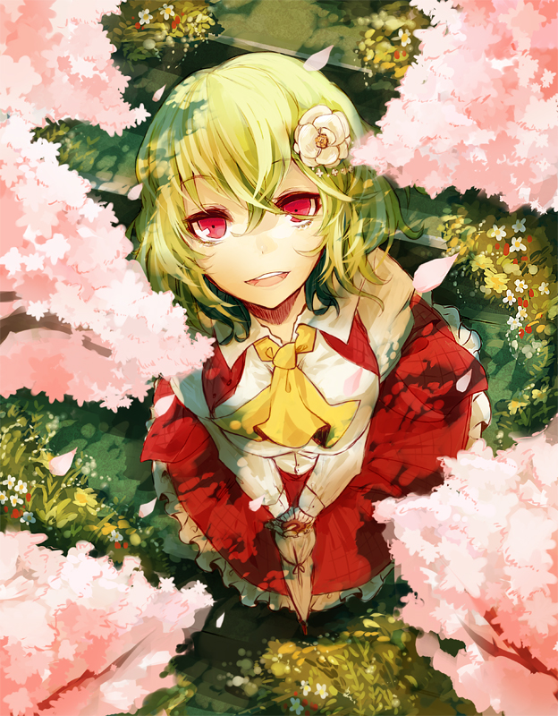 kazami yuuka (touhou) drawn by kaio_(watagami)