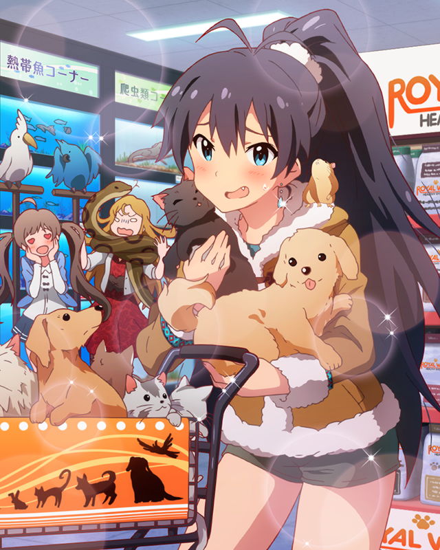 ganaha hibiki, hakozaki serika, and shinomiya karen (idolmaster and 1 more)