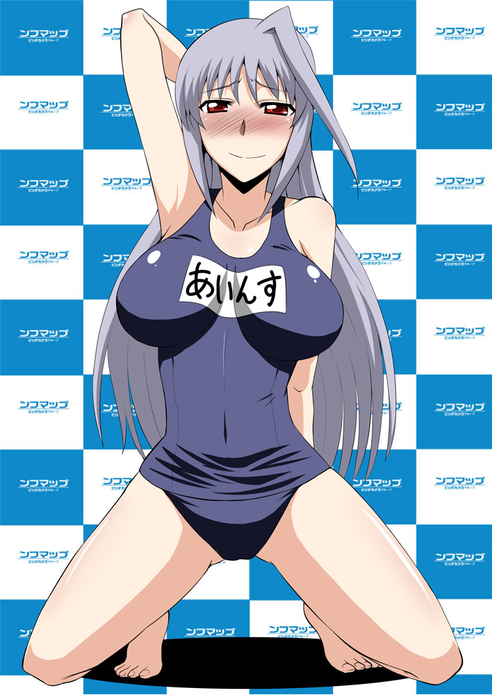 reinforce (lyrical nanoha and 2 more) drawn by zerosu_(take_out)