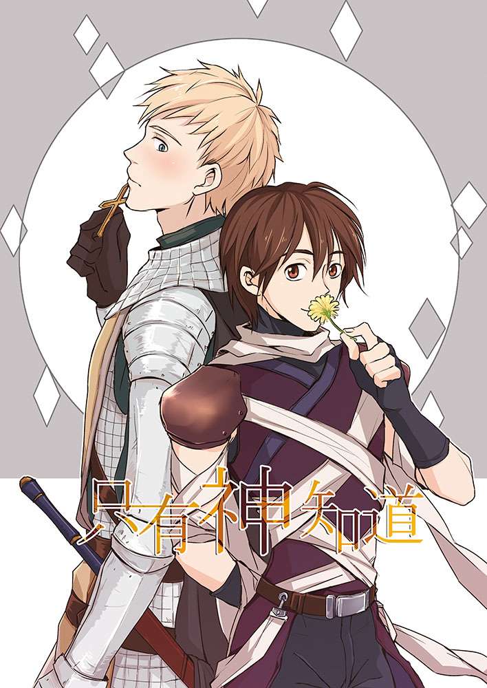assassin and knight (ragnarok online) drawn by stand_hong