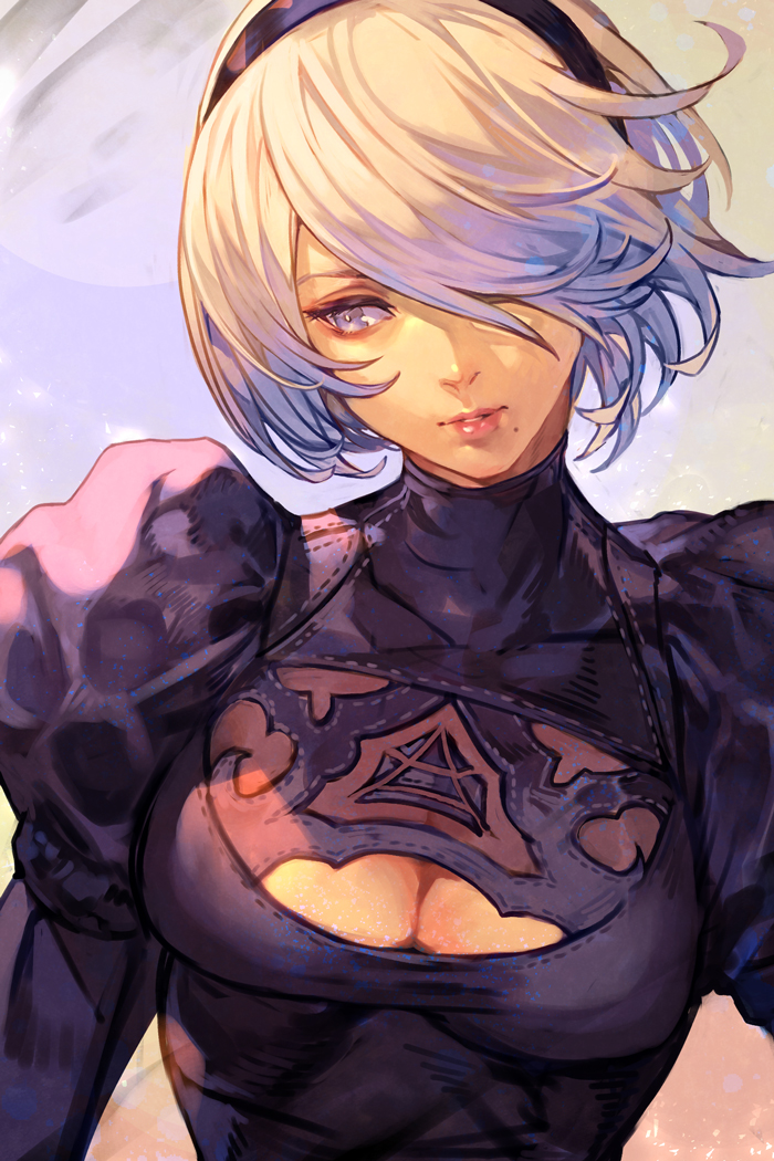2b (nier and 1 more) drawn by hungry_clicker