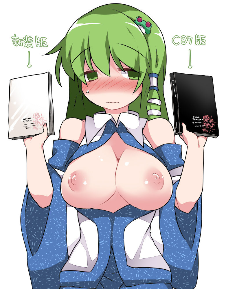 kochiya sanae (touhou) drawn by hammer_(sunset_beach)
