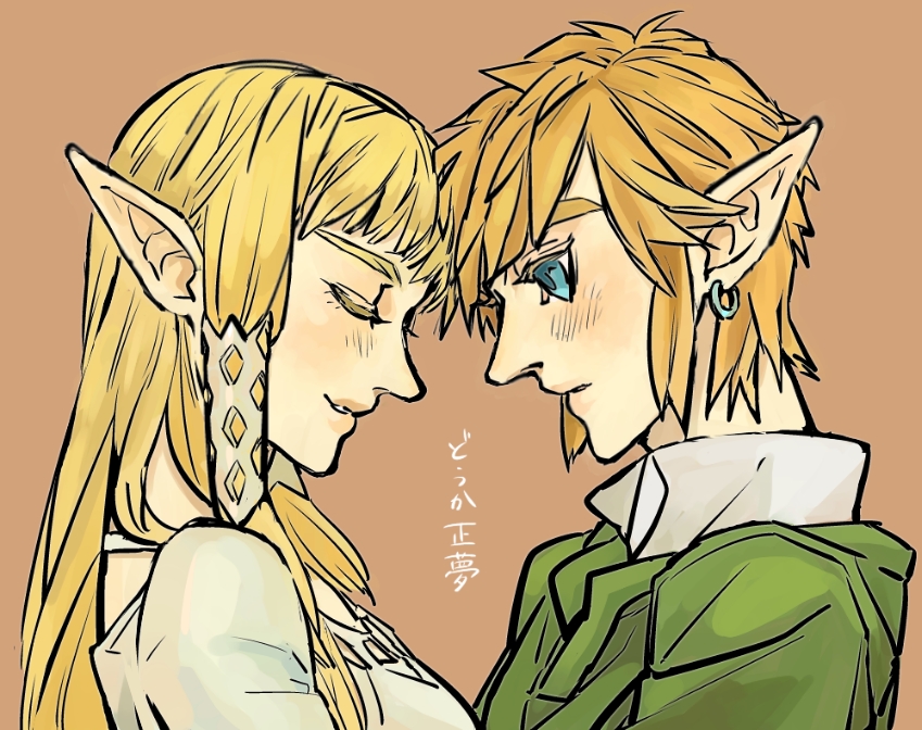link and princess zelda (the legend of zelda and 1 more) drawn by nazuna_higurasi