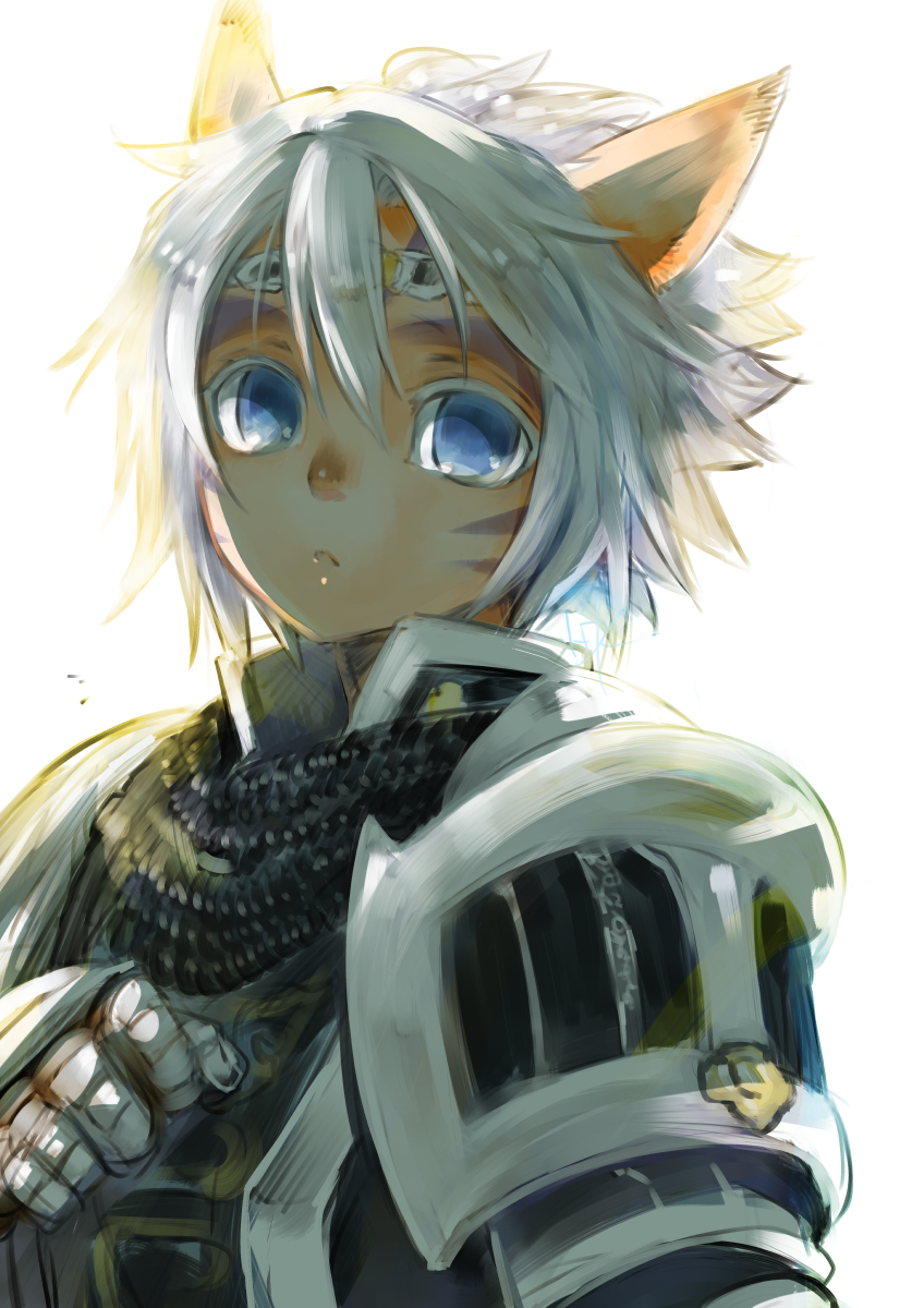 adventurer and paladin (final fantasy and 1 more) drawn by doraeshi