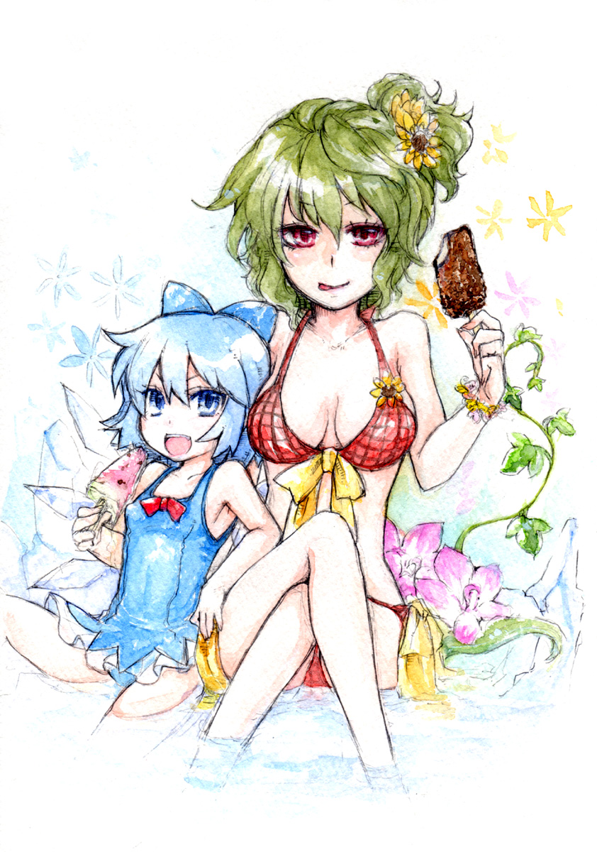 cirno and kazami yuuka (touhou) drawn by sakurai_haruto