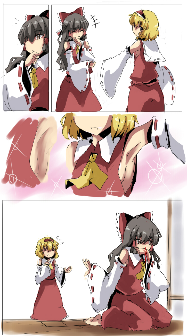 hakurei reimu and alice margatroid (touhou) drawn by magukappu