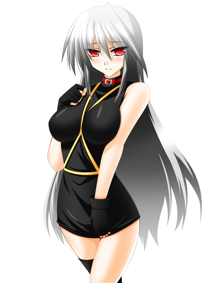 reinforce (lyrical nanoha and 2 more) drawn by engo_(aquawatery)