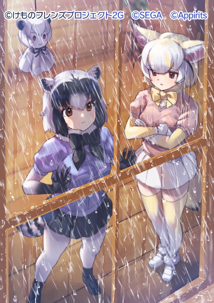 common raccoon and fennec (kemono friends and 1 more) drawn by tadano_magu