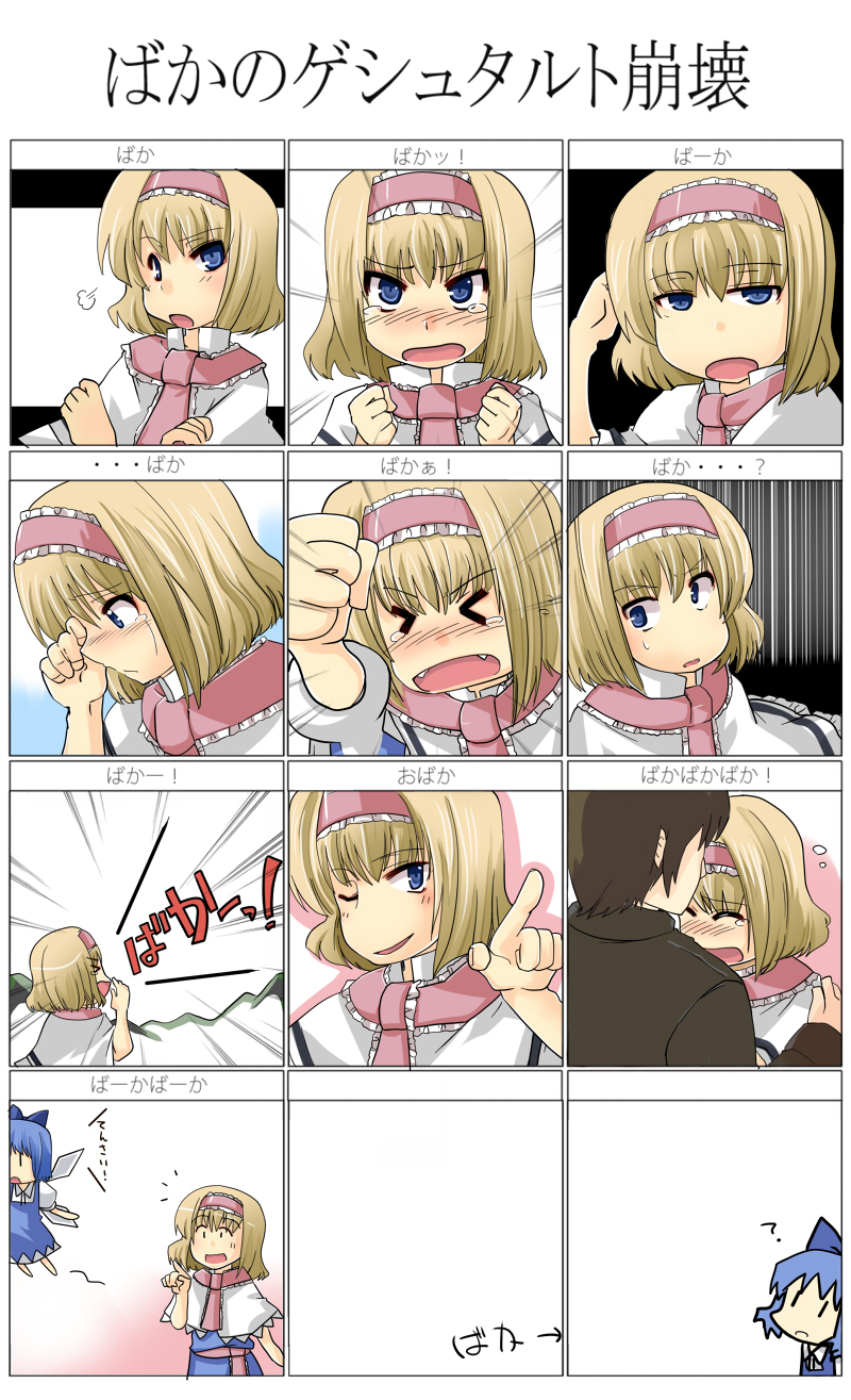alice margatroid and cirno (touhou) drawn by ruku_(alicecreation)