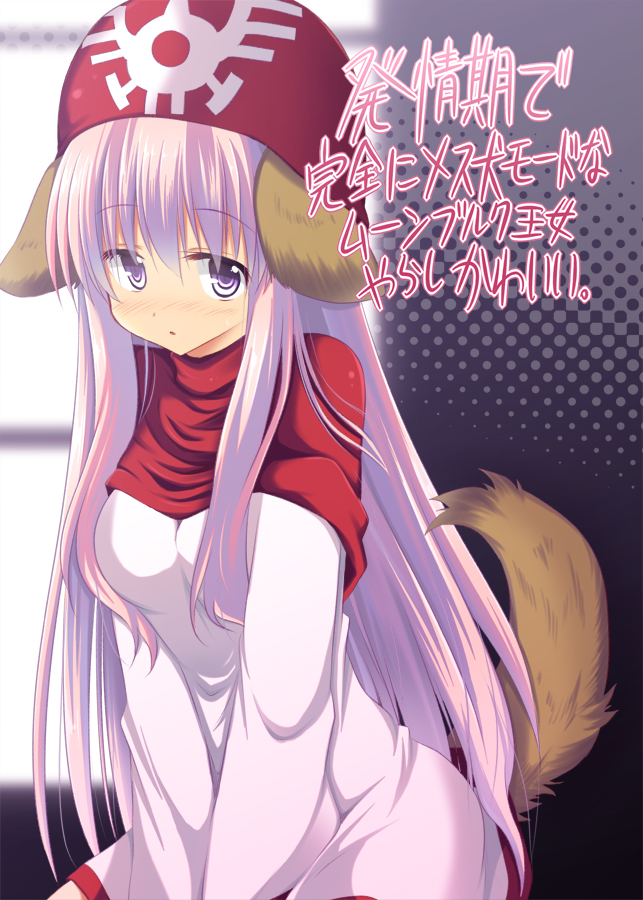 princess of moonbrook (dragon quest and 1 more) drawn by akane_souichi