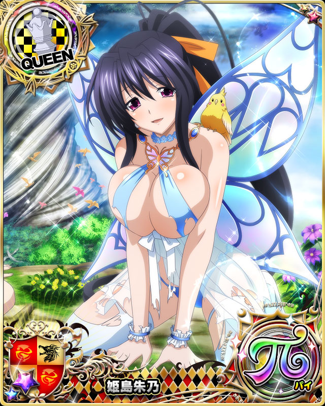 himejima akeno (high school dxd and 1 more)