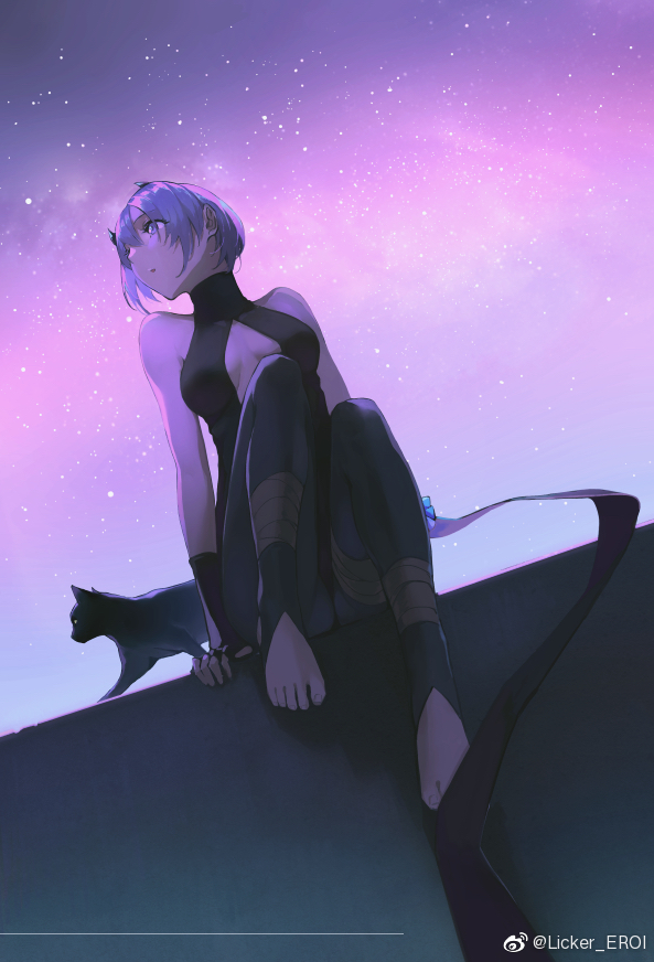 hassan of serenity (fate and 1 more) drawn by reroi