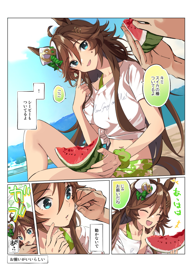 trainer and mr. c.b. (umamusume) drawn by taromarun