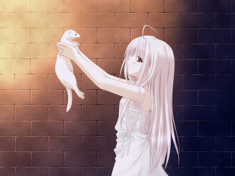 rino and cookie (white clarity) drawn by shouna_mitsuishi