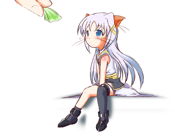 reinforce zwei (lyrical nanoha and 1 more) drawn by sch