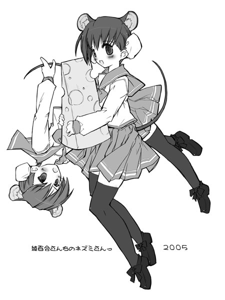 himeyuri sango and himeyuri ruri (to heart and 1 more) drawn by momiji_mao