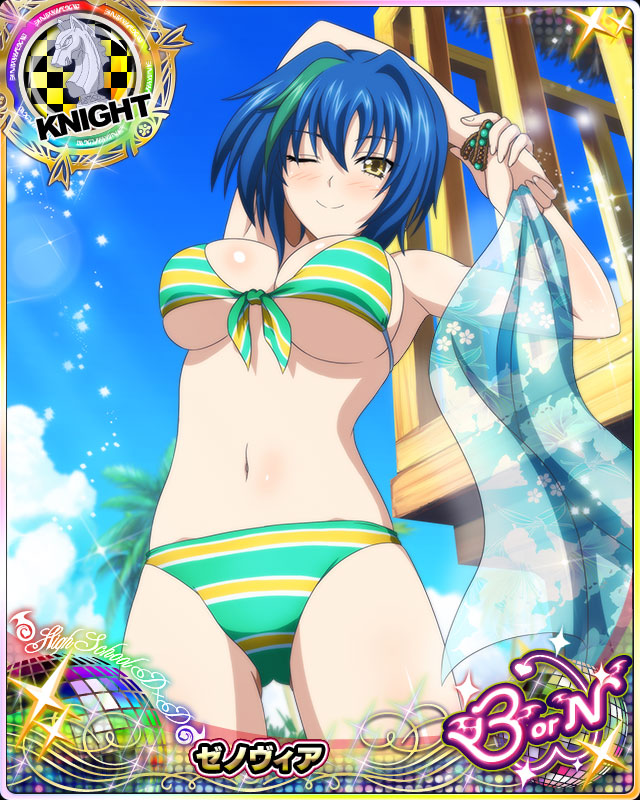 xenovia quarta (high school dxd and 1 more)
