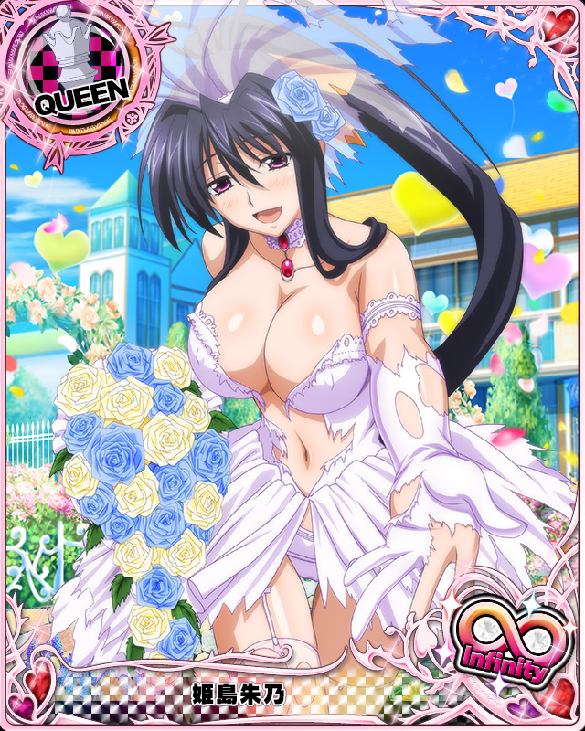 himejima akeno (high school dxd and 1 more)