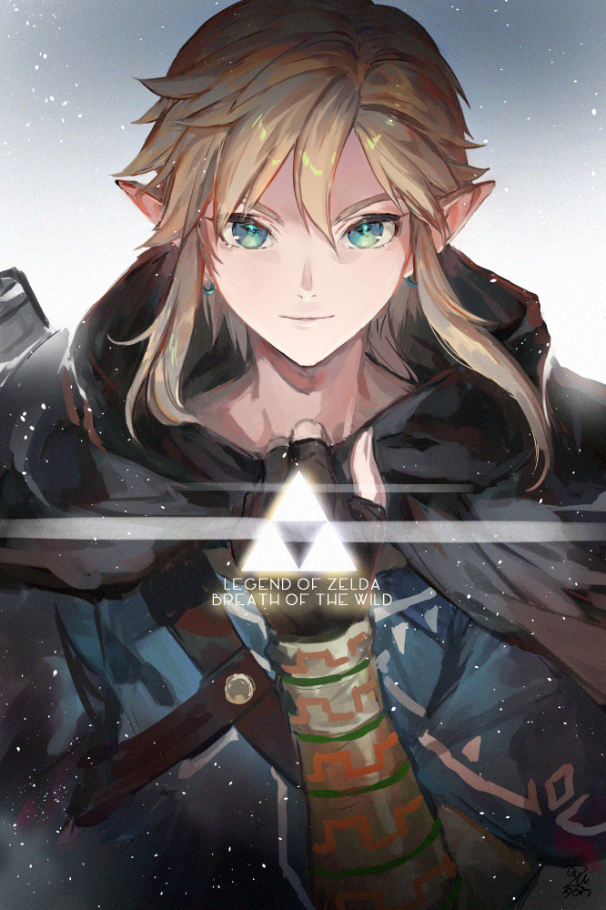 link (the legend of zelda and 1 more) drawn by azu-taro