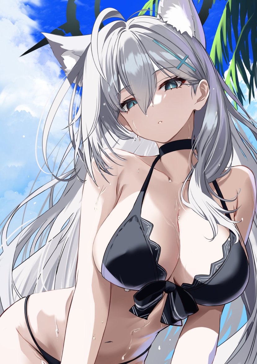 shiroko and shiroko terror (blue archive) drawn by neko_daruma