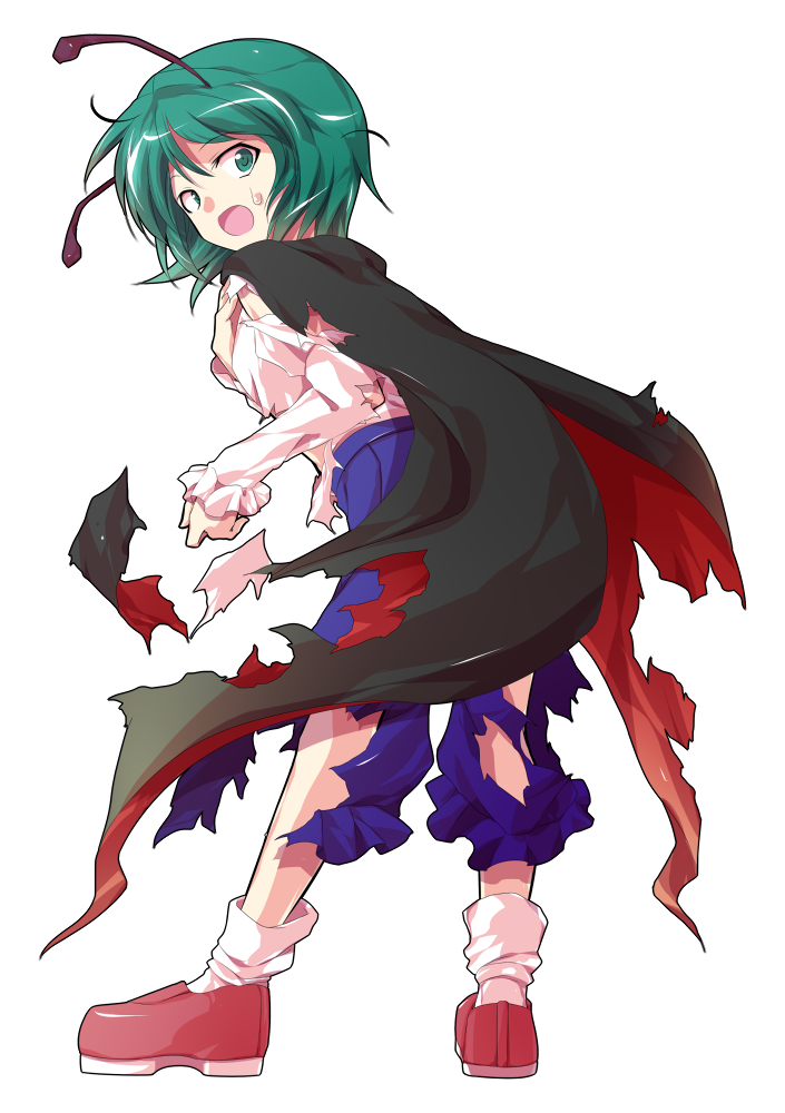 wriggle nightbug (touhou and 1 more) drawn by dairi