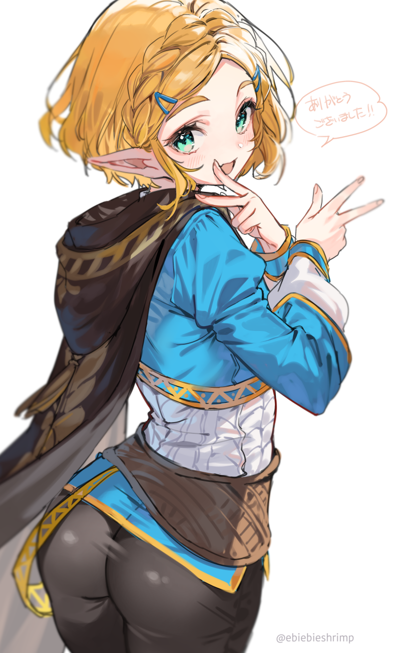 princess zelda (the legend of zelda and 1 more) drawn by shuri_(84k)