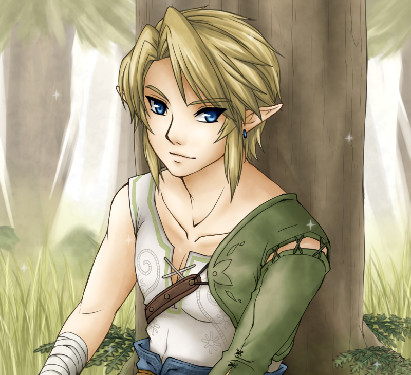 link (the legend of zelda and 1 more) drawn by teru_suzu