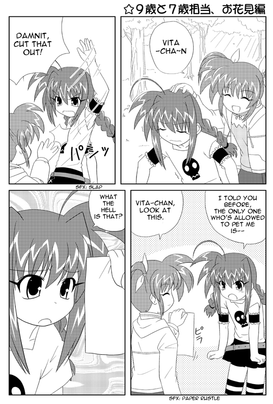 takamachi nanoha and vita (lyrical nanoha and 2 more)