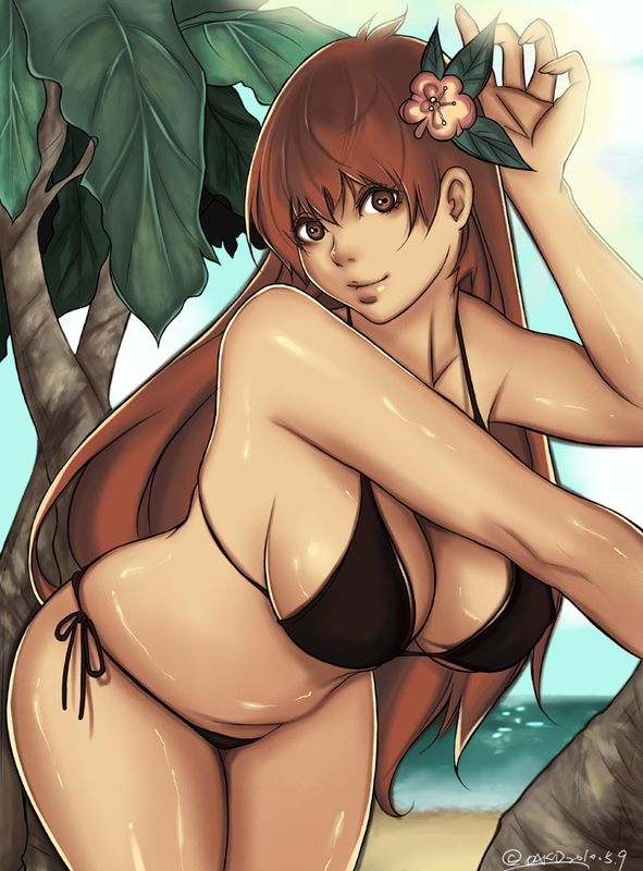kasumi (dead or alive) drawn by hu_dako