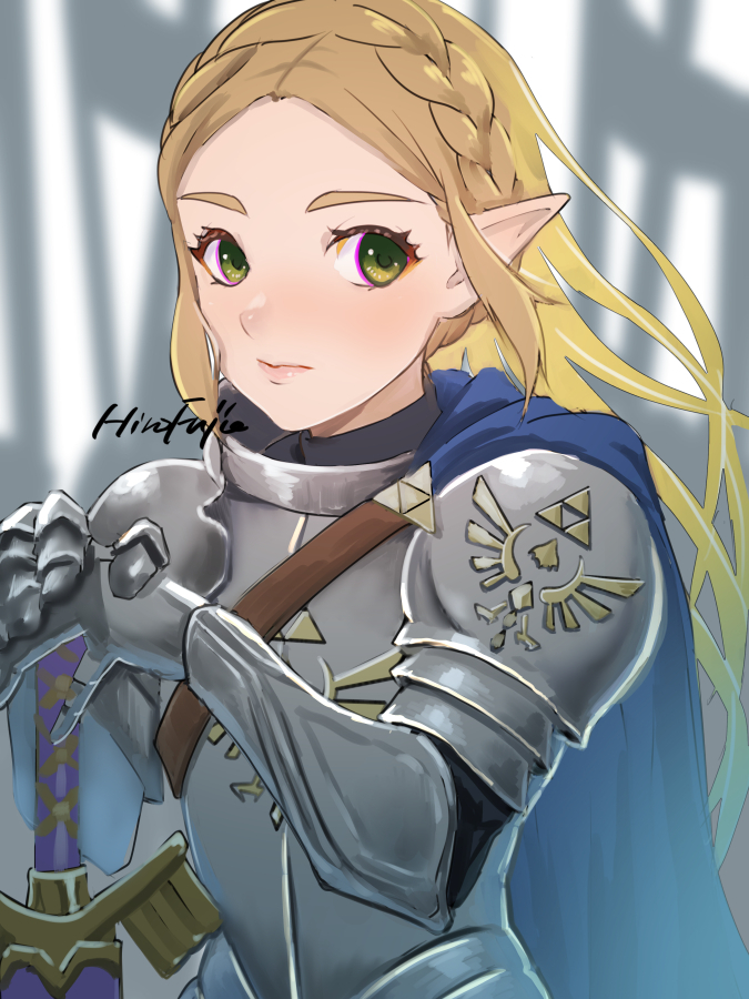 princess zelda (the legend of zelda and 1 more) drawn by hirofujie