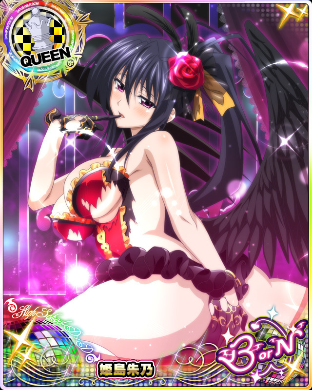 himejima akeno (high school dxd and 1 more)