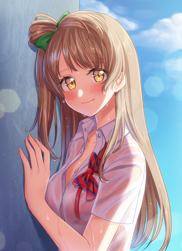 minami kotori (love live! and 1 more) drawn by hoshisakura_(starblossom)