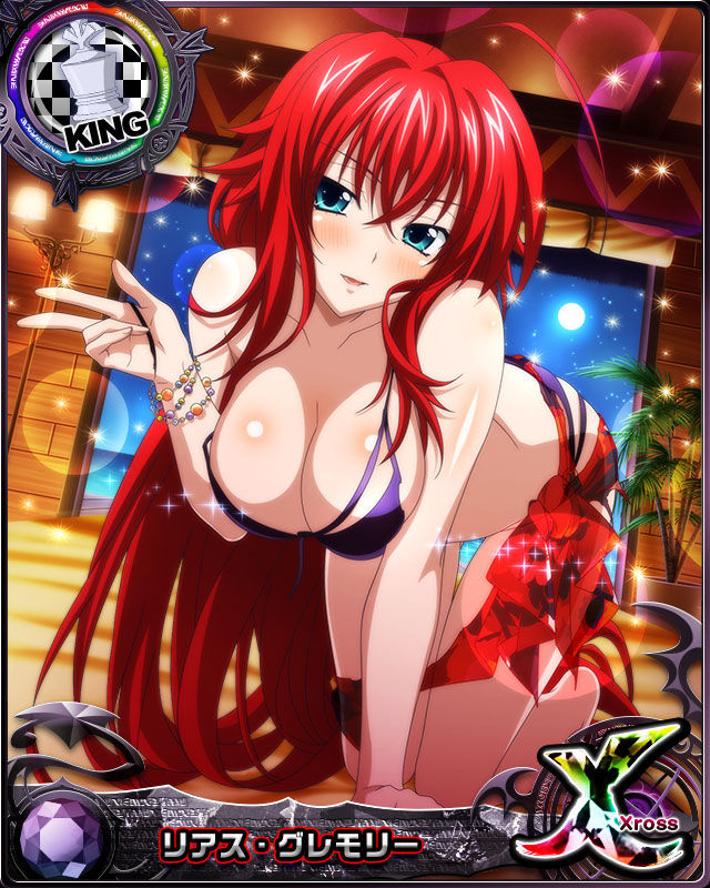 rias gremory (high school dxd and 1 more)