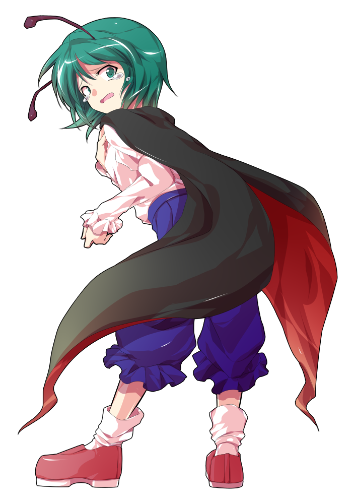 wriggle nightbug (touhou and 1 more) drawn by dairi