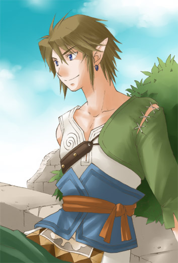 link (the legend of zelda and 1 more)