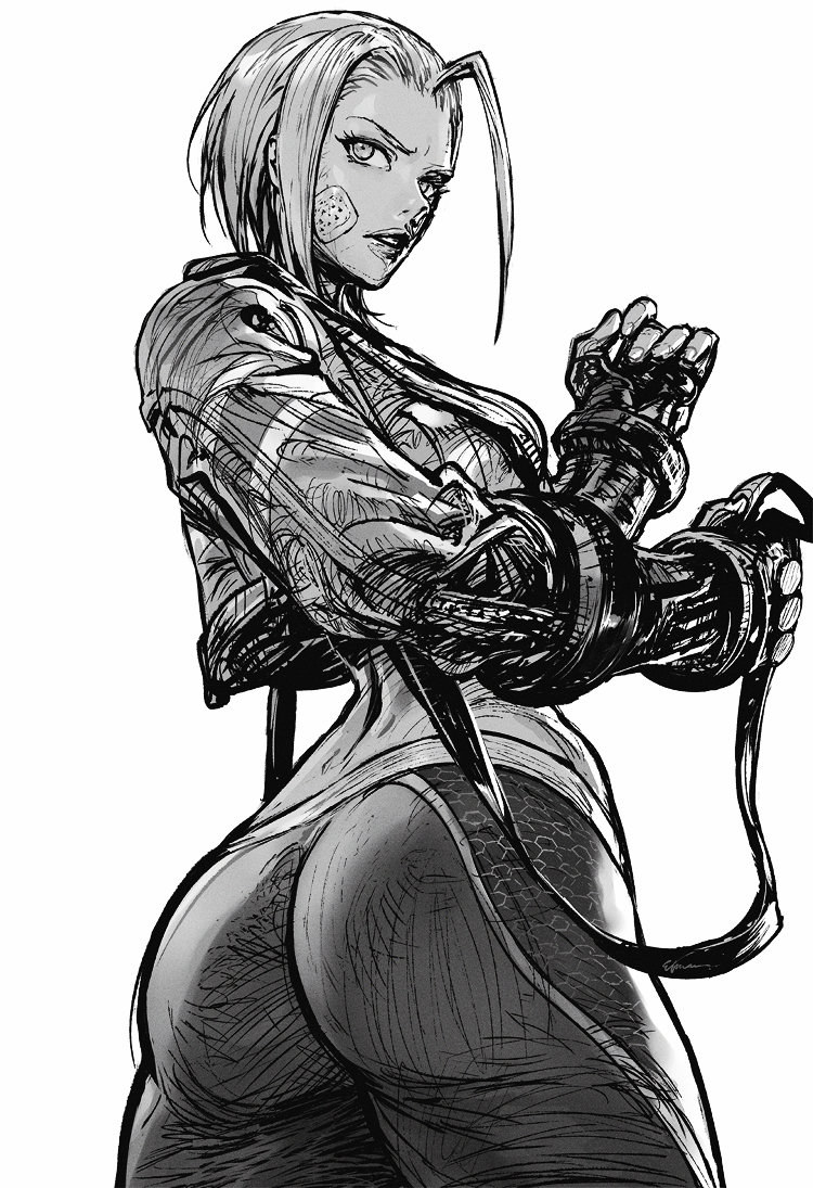 cammy white (street fighter and 1 more) drawn by etama_quomo