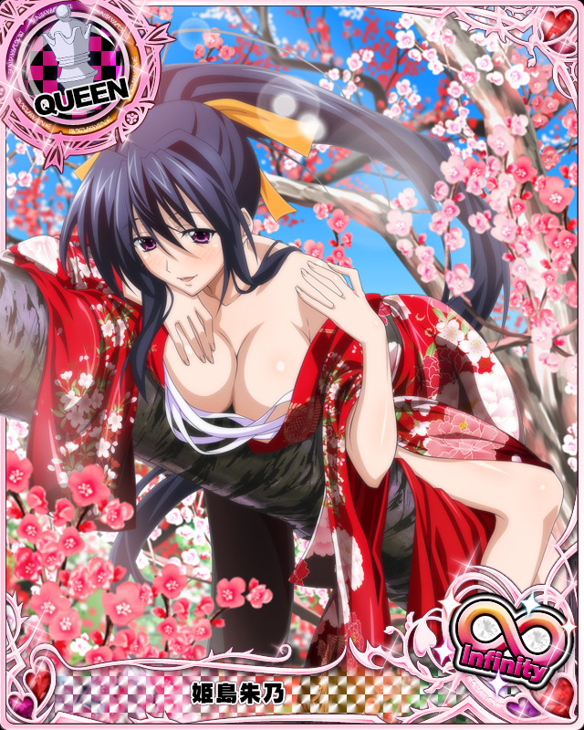 himejima akeno (high school dxd and 1 more)