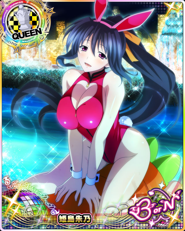 himejima akeno (high school dxd and 1 more)