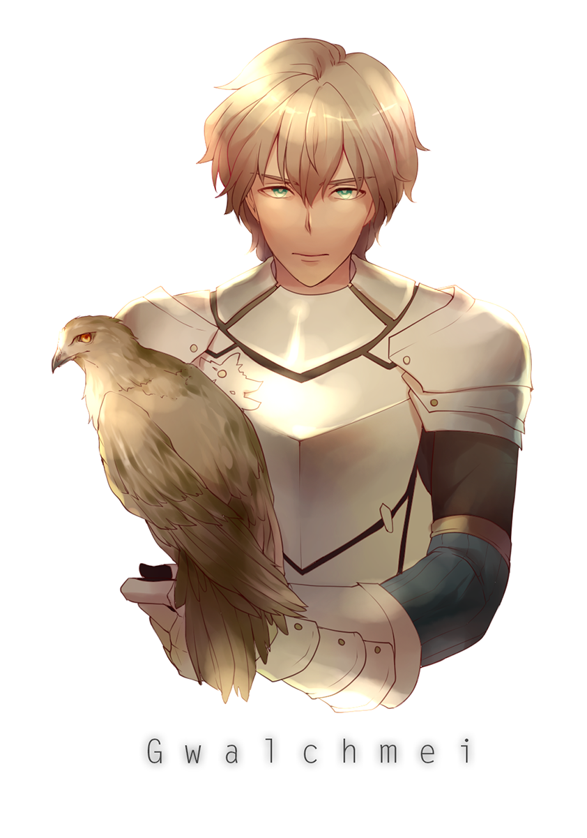 gawain (fate and 1 more) drawn by heru_(goldprin)