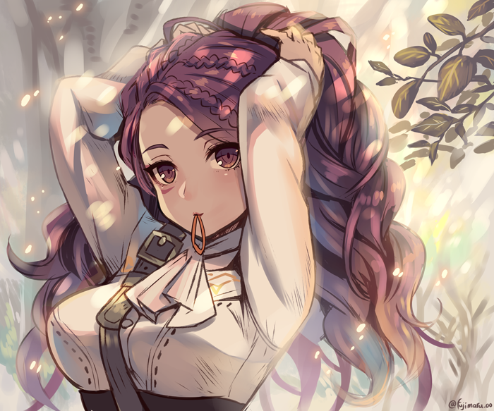 petra macneary (fire emblem and 1 more) drawn by fujimaru_(green_sparrow)