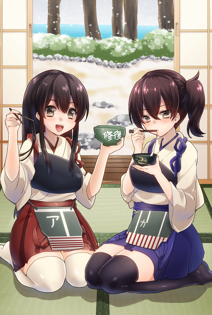 kaga and akagi (kantai collection) drawn by keita_(tundereyuina)
