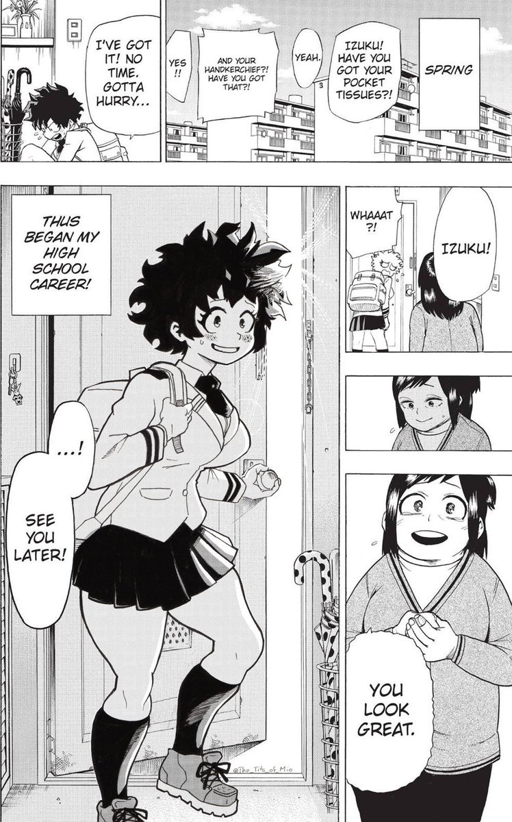 midoriya izuku and midoriya inko (boku no hero academia)