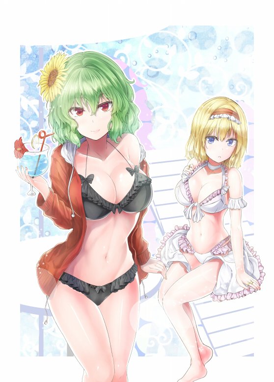 alice margatroid and kazami yuuka (touhou) drawn by y2