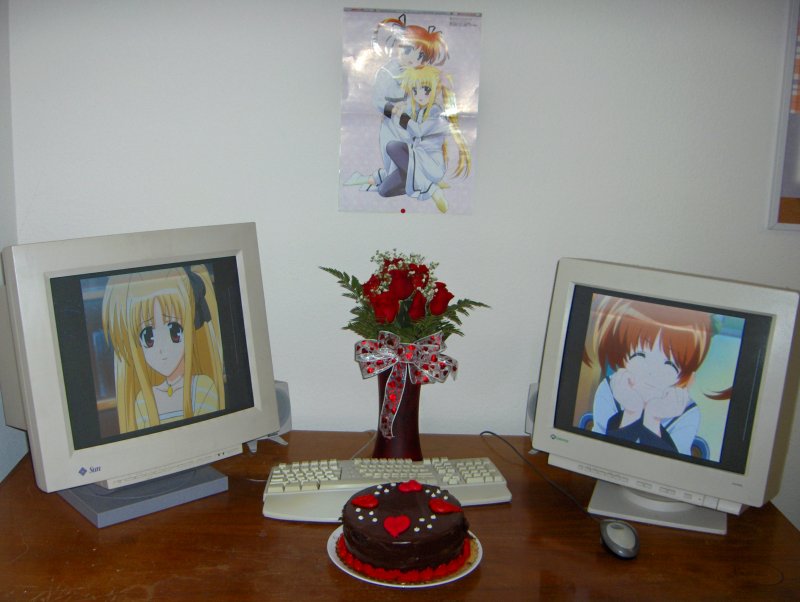 fate testarossa and takamachi nanoha (lyrical nanoha and 1 more)