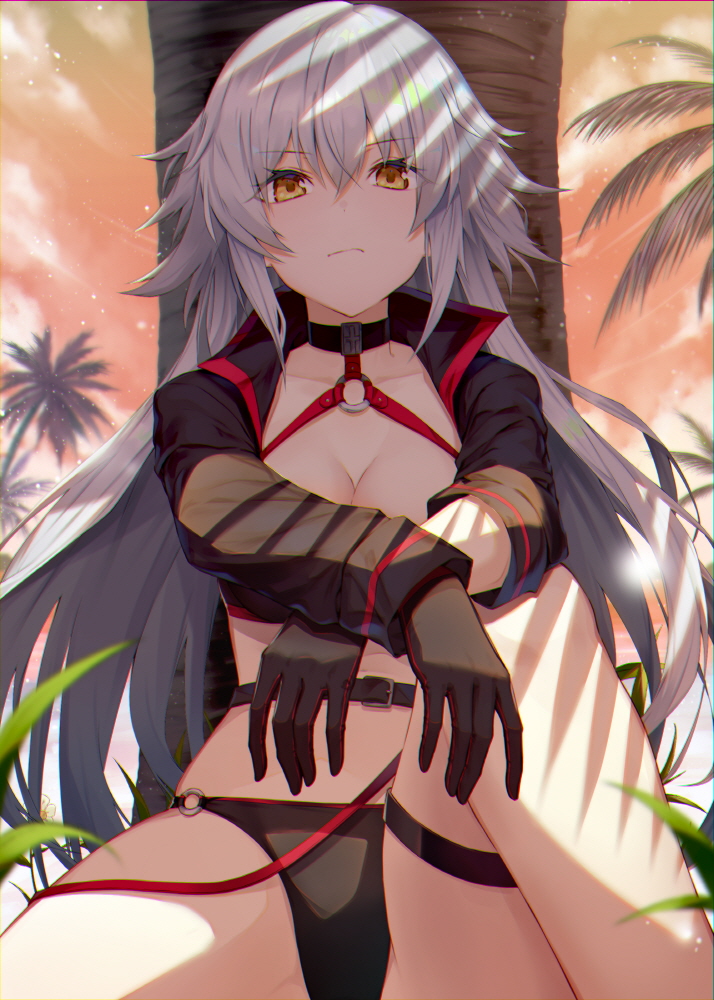 jeanne d'arc alter (fate and 1 more) drawn by soya_(torga)