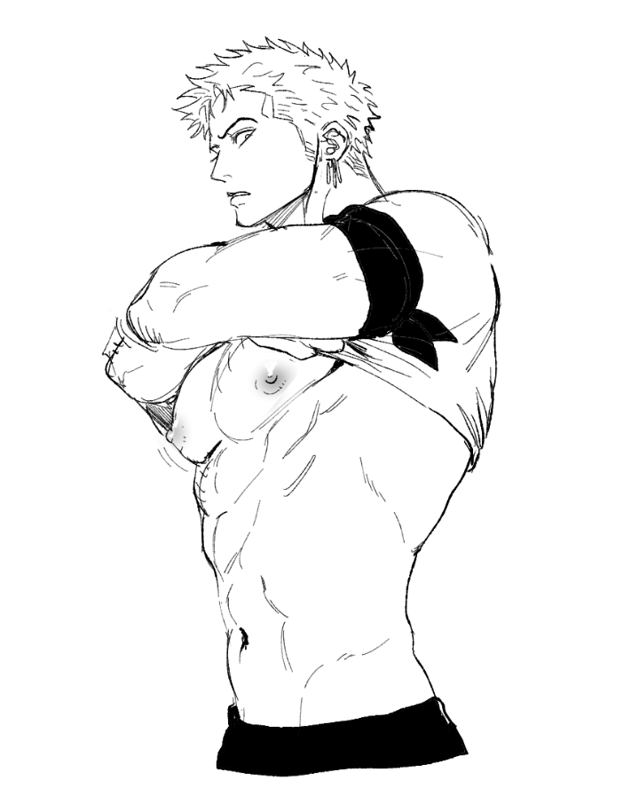 roronoa zoro (one piece) drawn by nok_(nok_1)