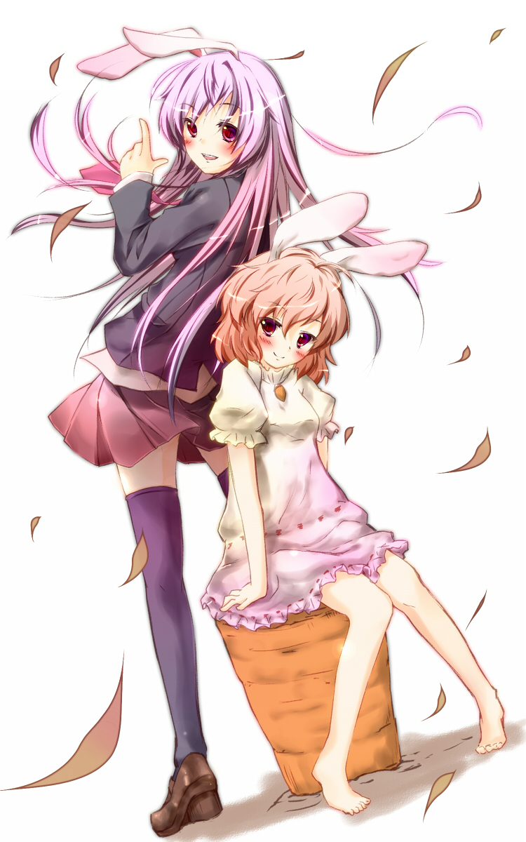 reisen udongein inaba and inaba tewi (touhou) drawn by nironiro