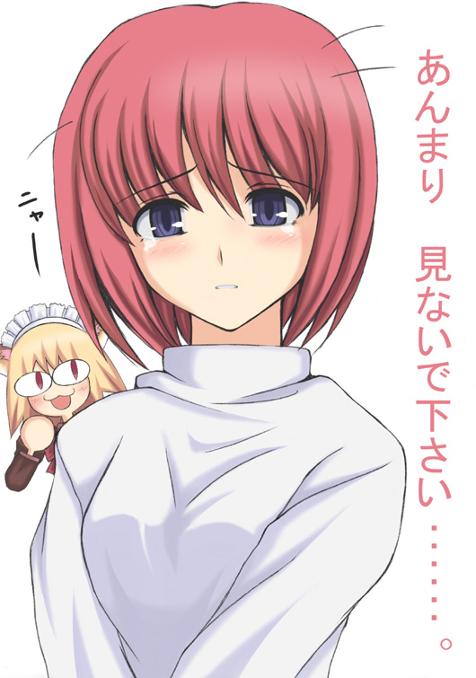 arcueid brunestud, hisui, and neco-arc (tsukihime and 1 more) drawn by syou_(crecre)