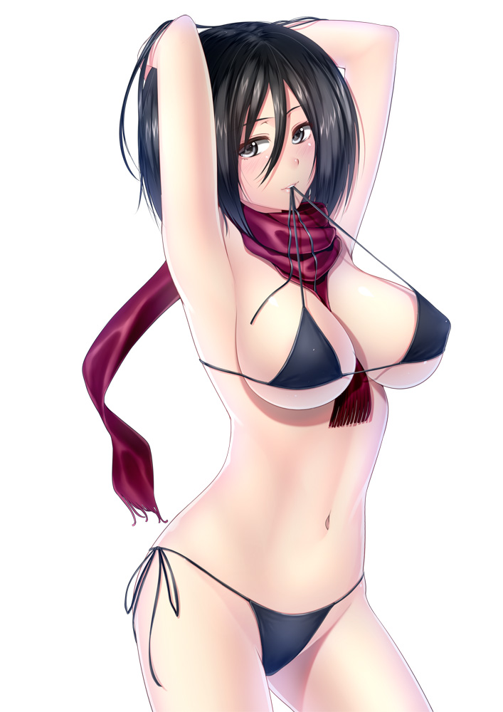mikasa ackerman (shingeki no kyojin) drawn by kai_(link2262)